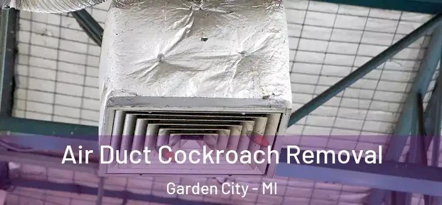  Air Duct Cockroach Removal Garden City - MI