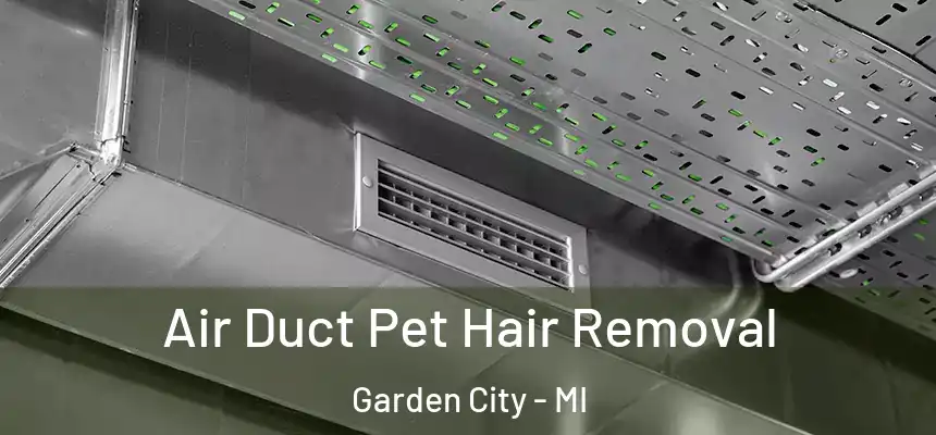 Air Duct Pet Hair Removal Garden City - MI