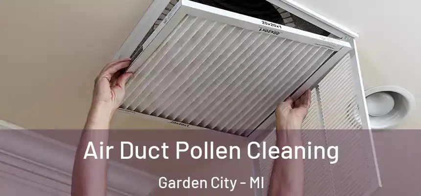  Air Duct Pollen Cleaning Garden City - MI