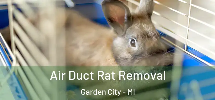  Air Duct Rat Removal Garden City - MI