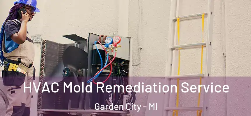  HVAC Mold Remediation Service Garden City - MI