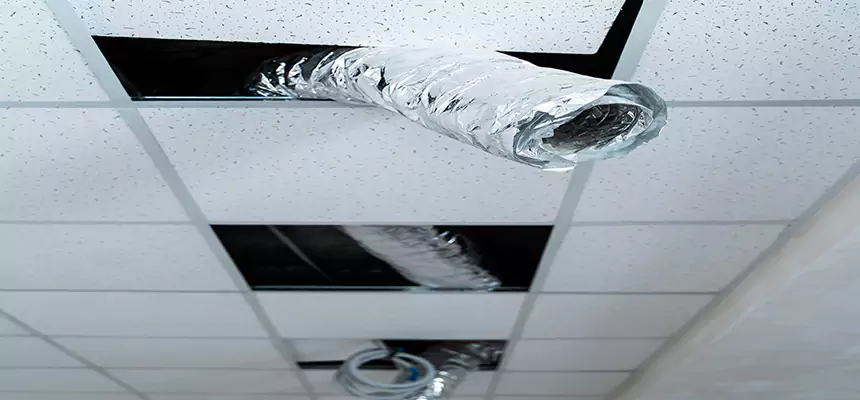 Our Air Duct Pet Hair Removal Services in Garden City, MI