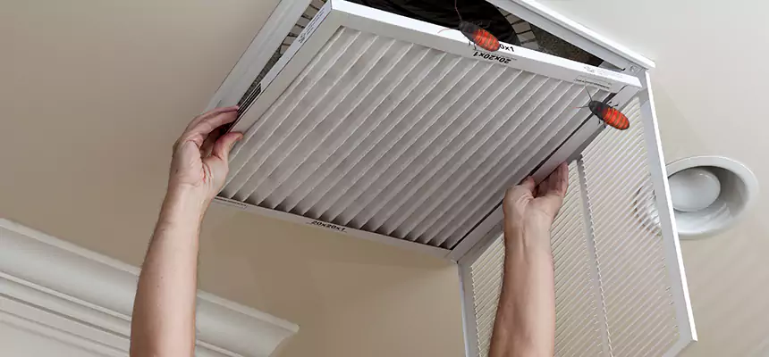 Our Insect Removal from Air Ducts Services in Garden City, MI