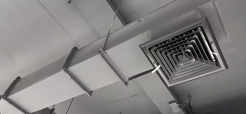 Our Rodent Droppings In Vents Services in Garden City, MI