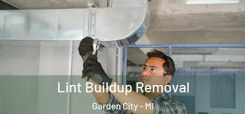 Lint Buildup Removal Garden City - MI