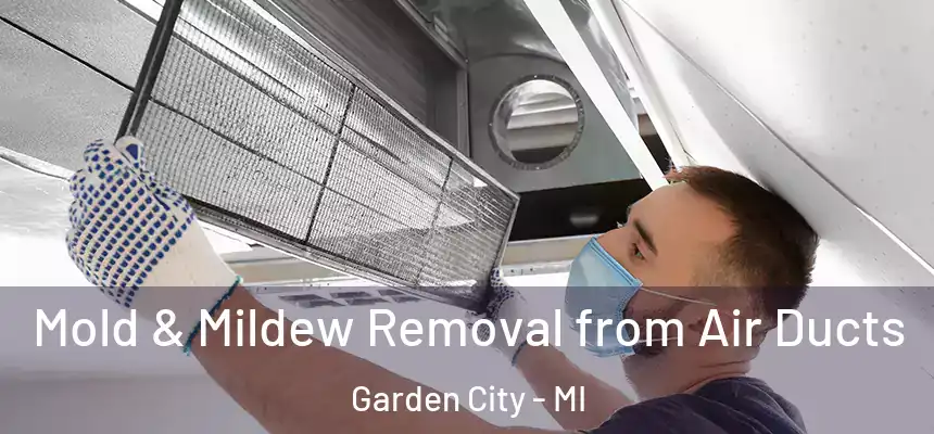  Mold & Mildew Removal from Air Ducts Garden City - MI