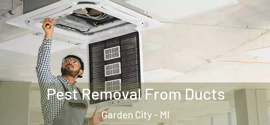  Pest Removal From Ducts Garden City - MI