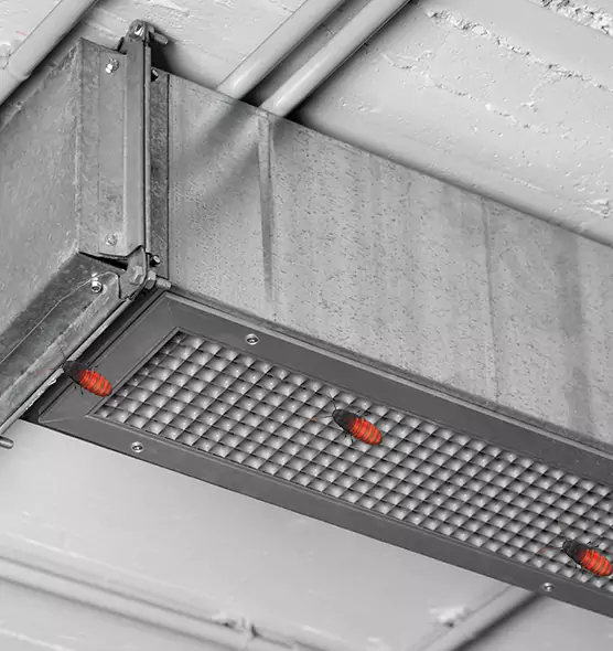 About Air Duct Cockroach Removal in Garden City, MI