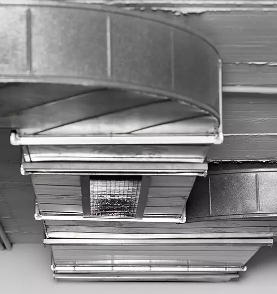 Professional Air Duct Pest Removal in Garden City, MI