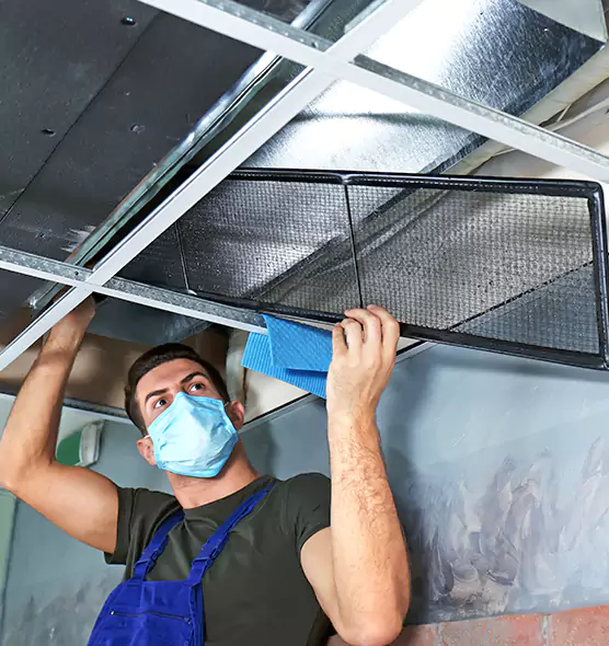 Professional Air Duct Pollen Cleaning in Garden City, MI