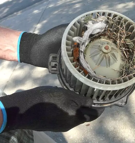 About Air Duct Rat Removal in Garden City, MI