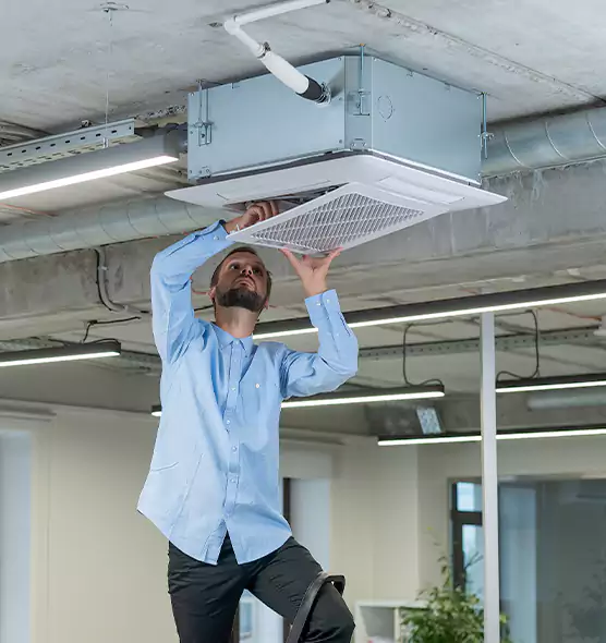 Advanced Rodent Droppings In Vents in Garden City, MI