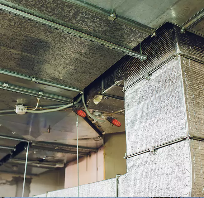 Why Homeowners & Businesses Trust Us in Garden City, MI?