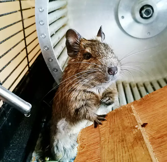 Why Homeowners & Businesses Trust Us Garden City, MI