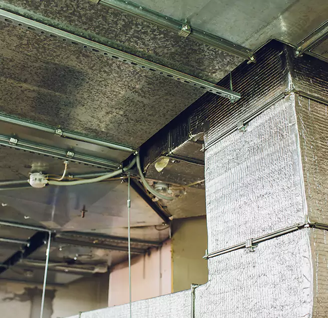 Why Homeowners & Businesses Trust Us in Garden City, MI?